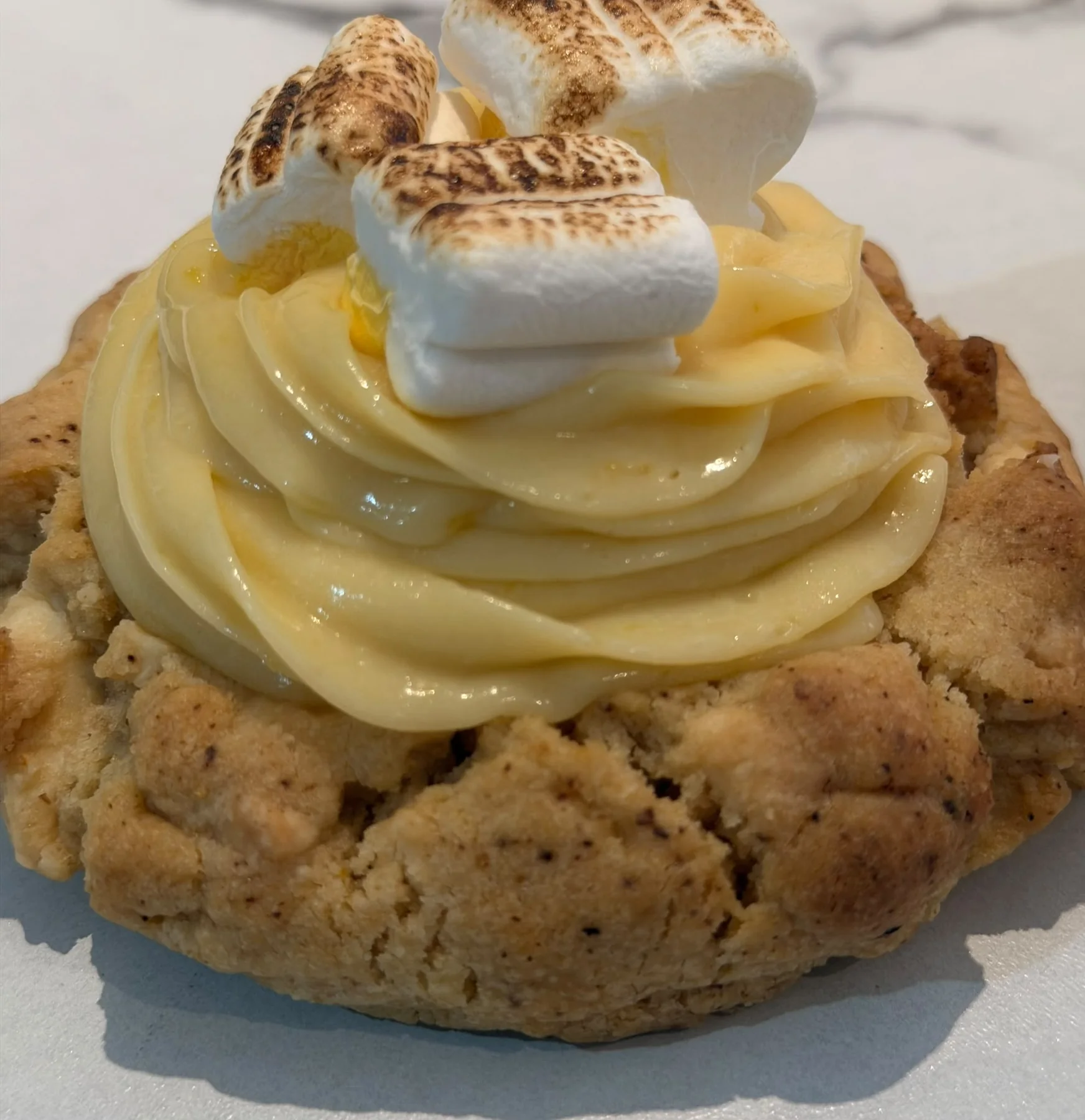 A s'mores-inspired cookie with swirled frosting and toasted marshmallows.